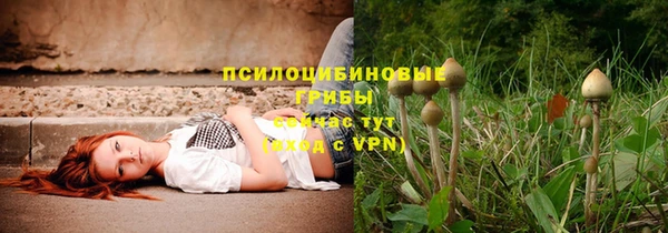 mdpv Баксан